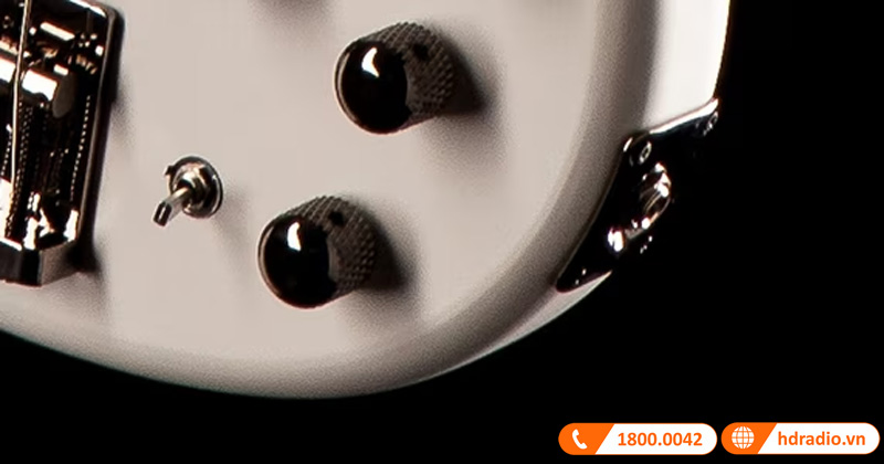 Đàn Guitar Yamaha TRBX504