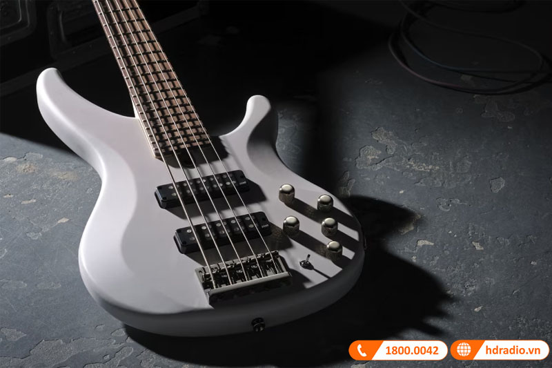 Đàn Guitar Yamaha TRBX505