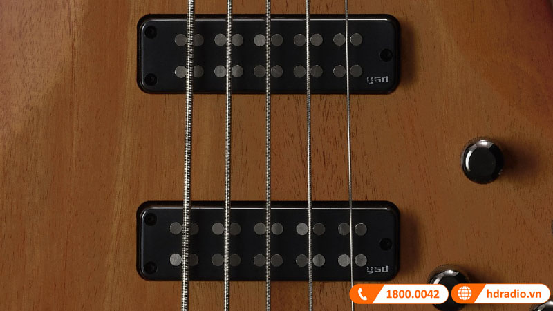 Đàn Guitar Yamaha TRBX505