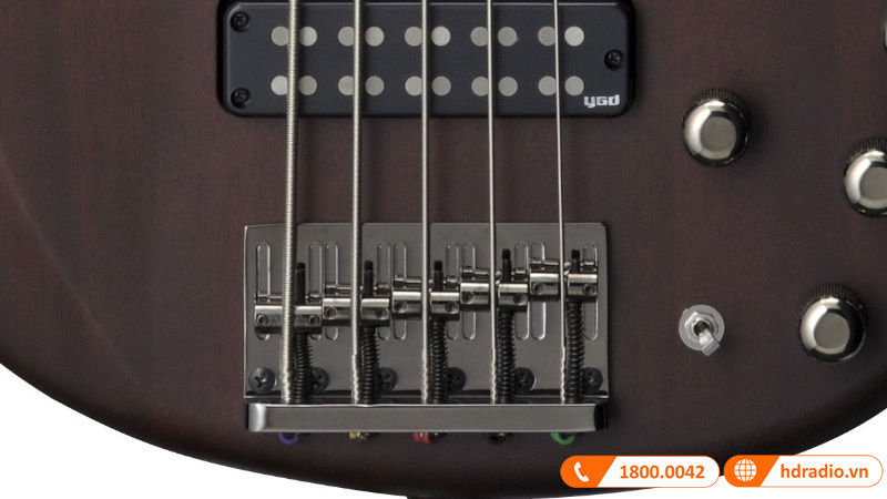 Đàn Guitar Yamaha TRBX505