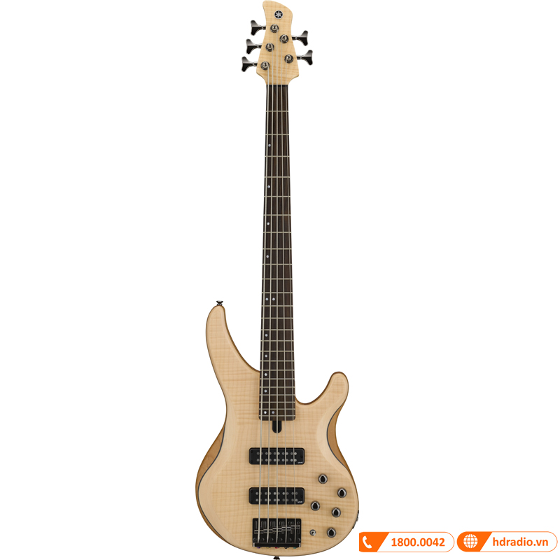 Đàn Guitar Yamaha TRBX605FM, guitar bass 5 dây-1
