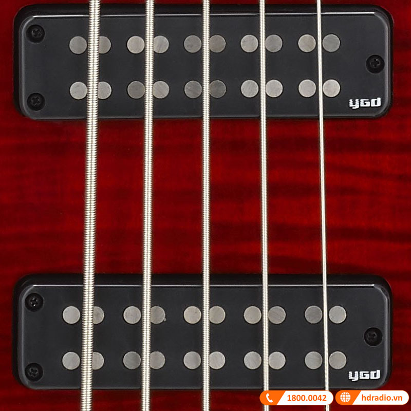 Đàn Guitar Yamaha TRBX605FM