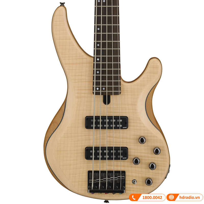 Đàn Guitar Yamaha TRBX605FM, guitar bass 5 dây-7