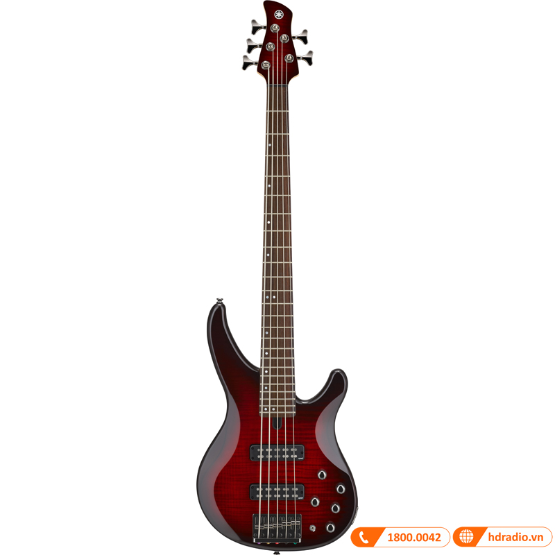 Đàn Guitar Yamaha TRBX605FM, guitar bass 5 dây-3