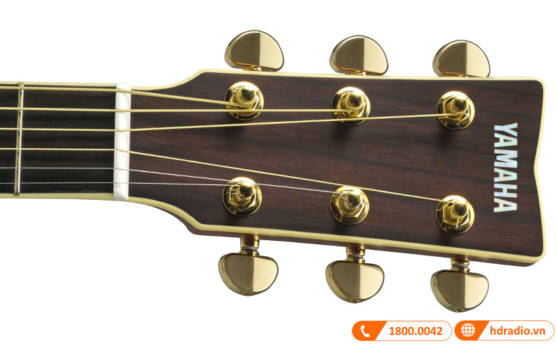 Đàn Guitar Yamaha LJ6 ARE