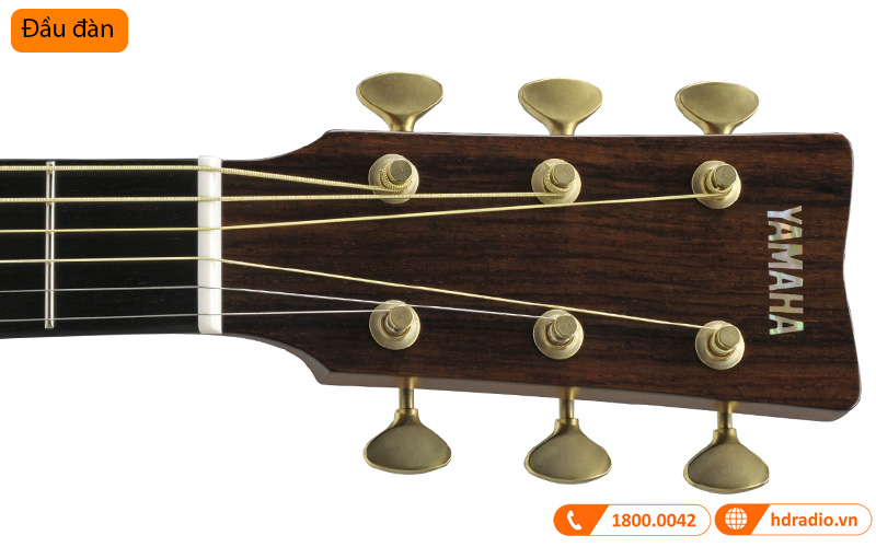 Đàn Guitar Yamaha LL26 ARE
