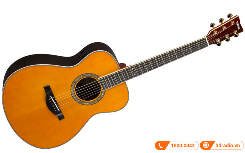 Đàn Guitar Yamaha LS-TA