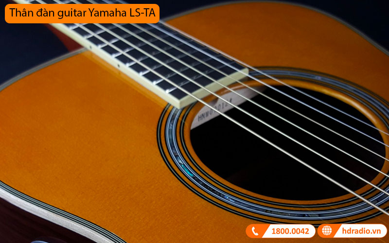 Đàn Guitar Yamaha LS-TA