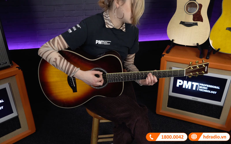 Đàn Guitar Yamaha LS-TA