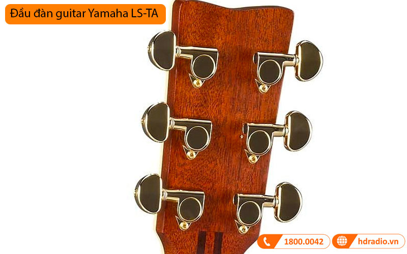 Đàn Guitar Yamaha LS-TA