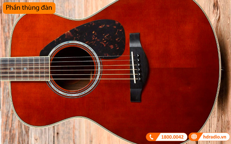 Đàn Guitar Yamaha LS16 ARE