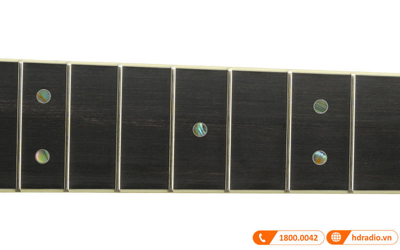 Đàn Guitar Yamaha LS16 ARE