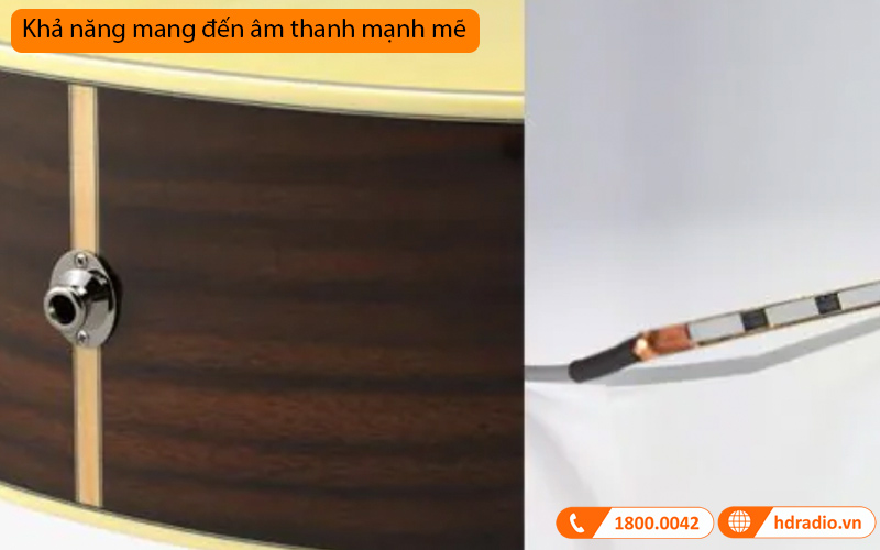 Đàn Guitar Yamaha LS6M ARE