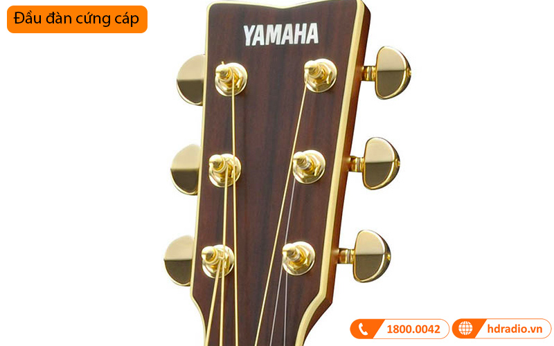 Đàn Guitar Yamaha LS6M ARE