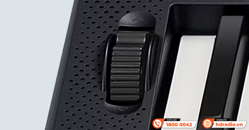 Đàn Organ Casio CT-S300