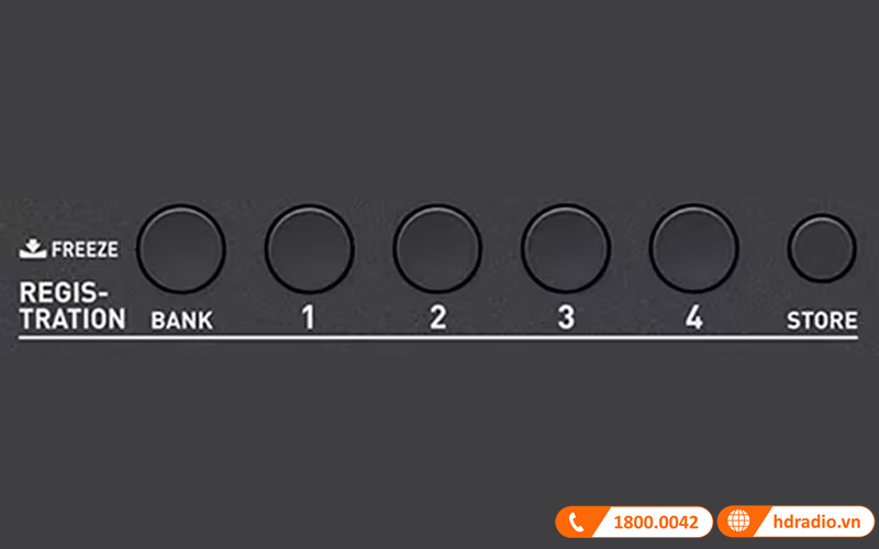 Đàn Organ Casio CT-X800-9