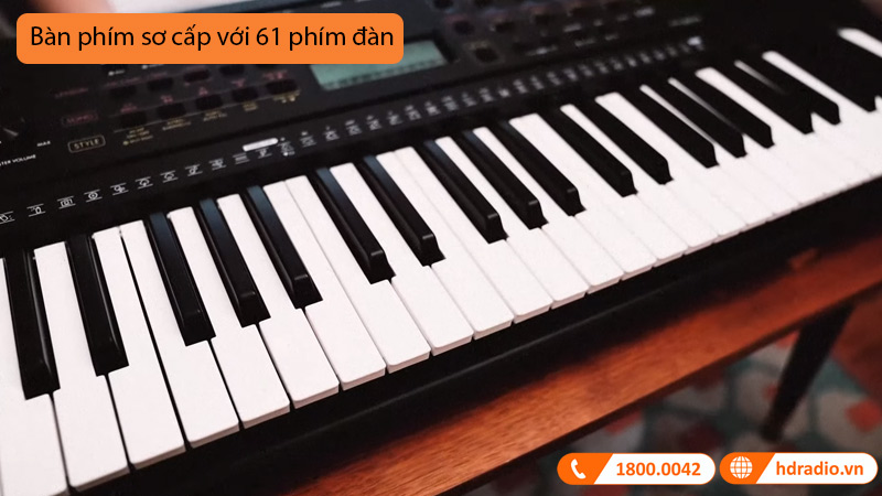 Bàn phím Đàn Organ Yamaha PSR E273