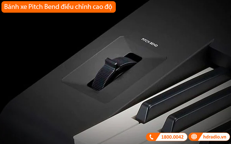 Đàn Organ Yamaha PSR EW425