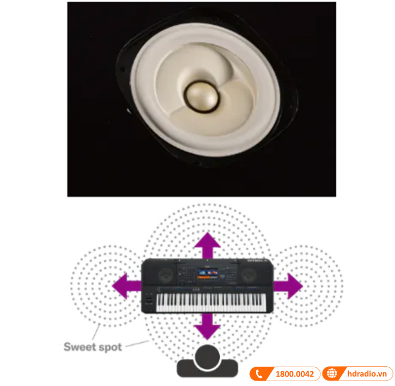 Đàn Organ Yamaha PSR SX900