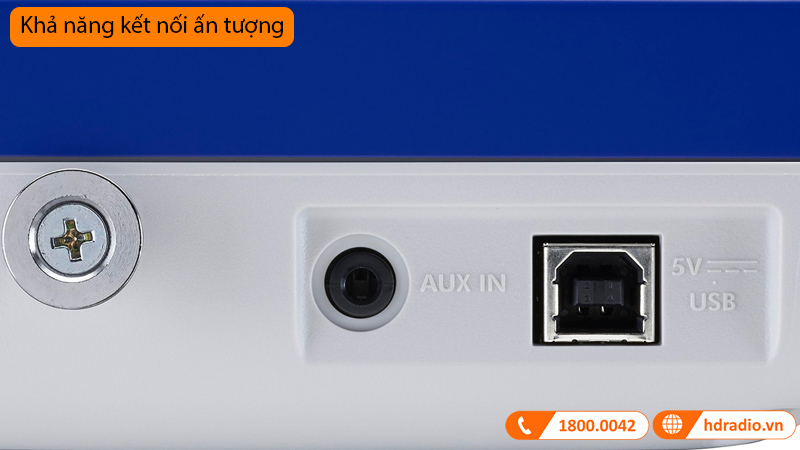 Đàn Organ Yamaha SHS-300