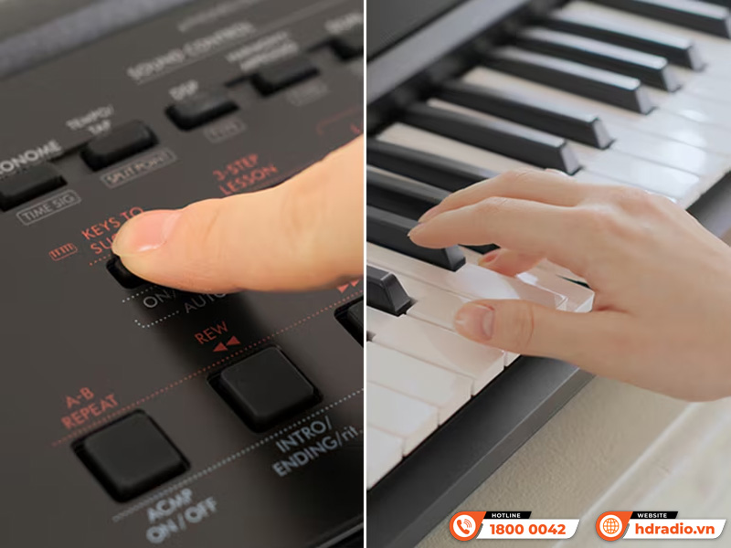 Đàn Organ Yamaha PSR-EW320