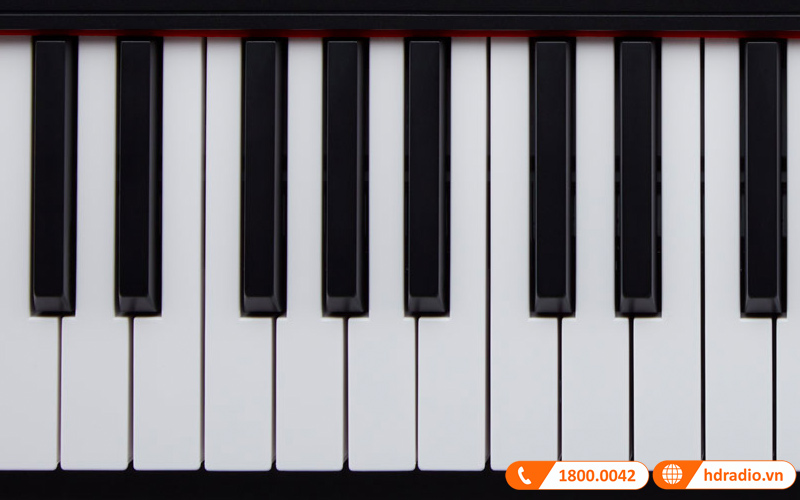 Đàn Piano Roland Go 88-P, piano điện-6