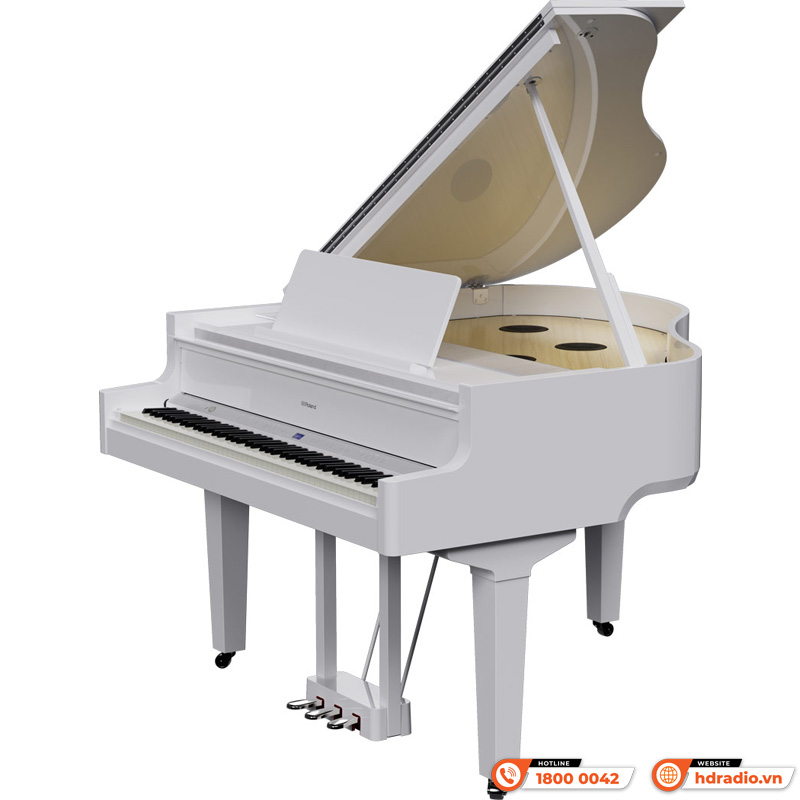 Đàn Piano Roland GP-9M, piano điện (Bluetooth 4.2, USB, Mic, XRL)-2
