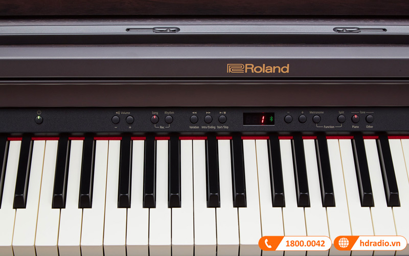 Đàn Piano Roland RP-501R, piano điện-14