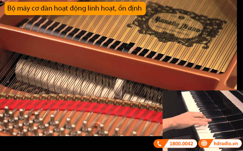 Đàn Piano Yamaha C2X