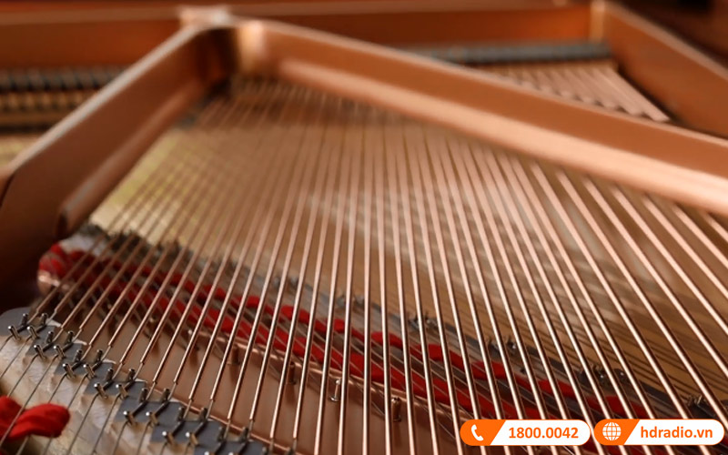 Đàn Piano Yamaha C5X