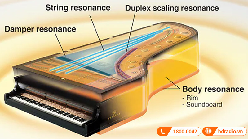 Đàn Piano Điện Yamaha CLP-765GP