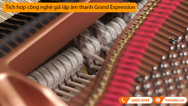 Đàn Piano Điện CLP-795GP