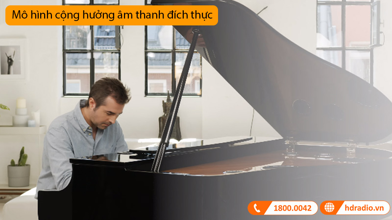 Đàn Piano Điện CLP-795GP