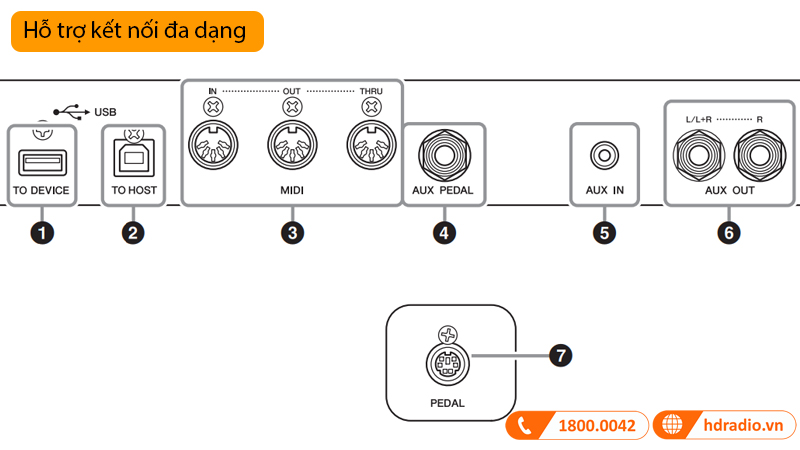 Đàn Piano Yamaha CLP-795GP