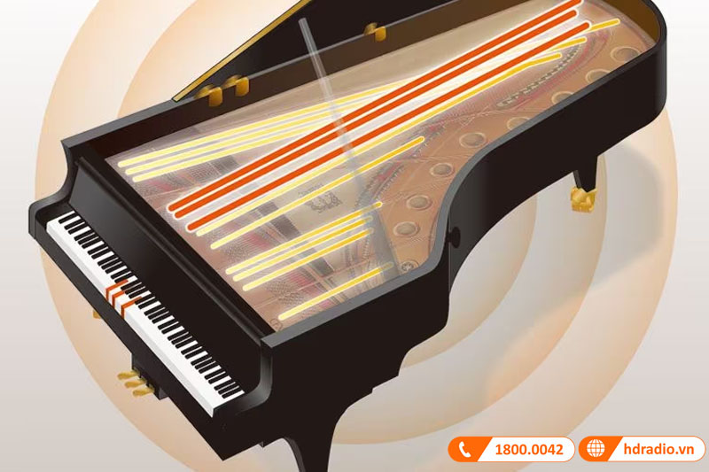 Đàn Piano Yamaha CVP-905