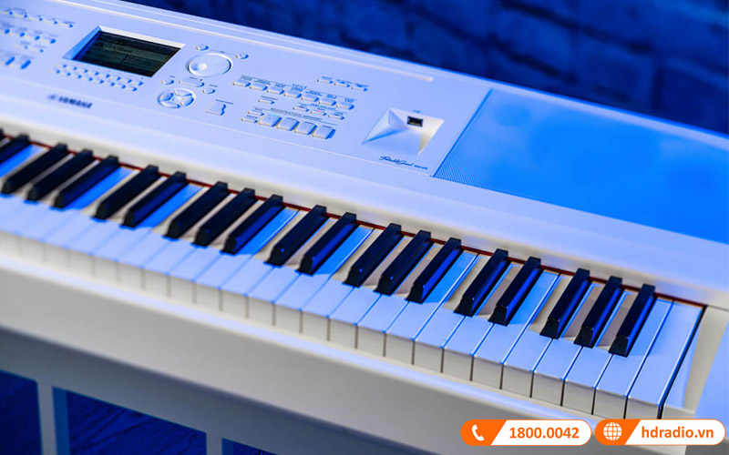Đàn Piano Điện Yamaha DGX 670