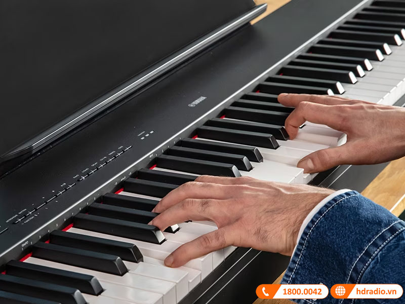 Đàn Piano Yamaha P-223