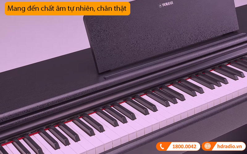 Đàn Piano Yamaha YDP-105