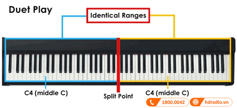 Đàn Piano Điện Yamaha YDP 144