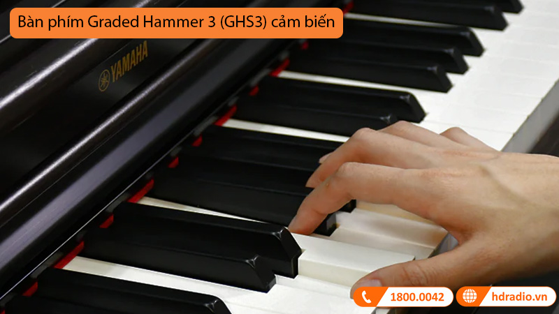 Đàn Piano Điện Yamaha YDP 164