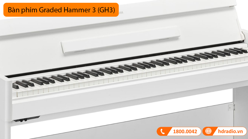 Đàn Piano Yamaha YDP-S55