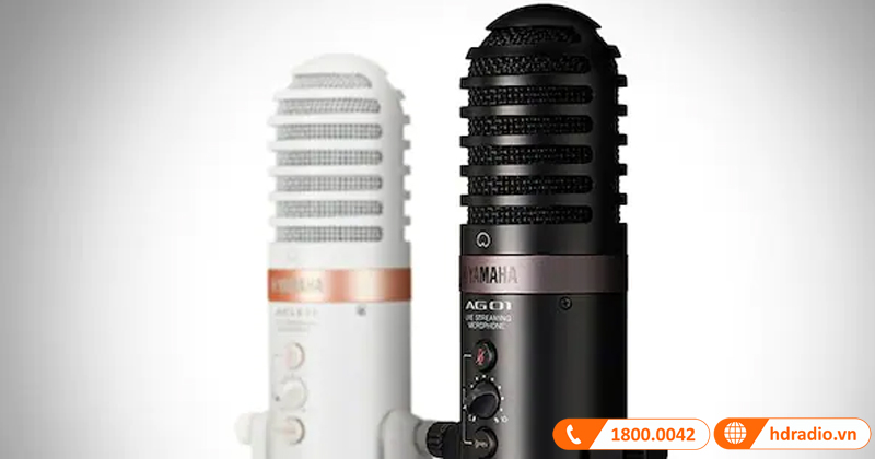 Micro Yamaha AG01