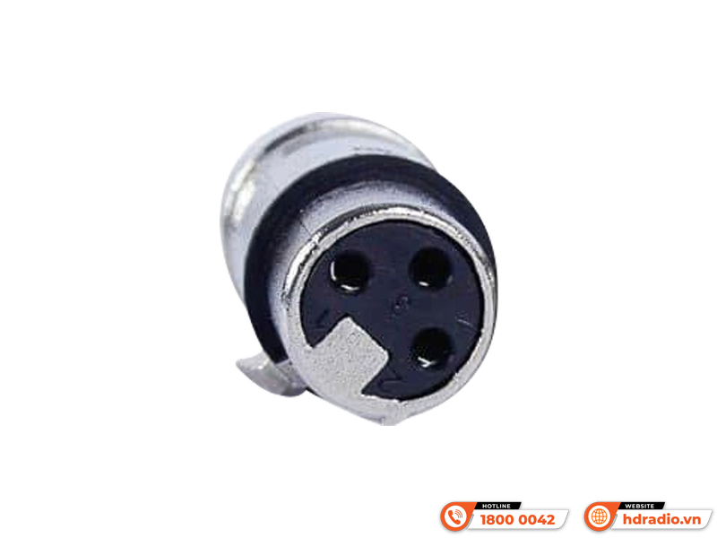 Jack Canon Cái Kiwi CF2 bằng đồng Jack Canon Cái Kiwi CF2 bằng đồng