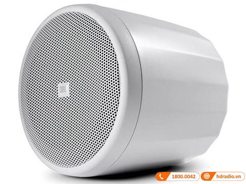 Loa JBL Control 65P/T