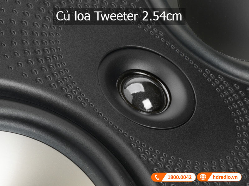 Cu Loa Polk Audio 265-RT