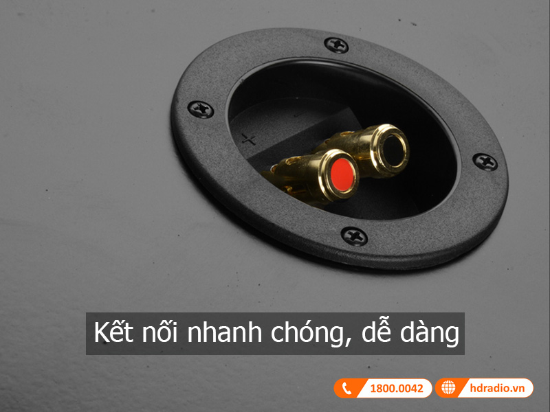 Kết nối dễ dàng với loa Polk Audio CSW100 loa Polk Audio CSW100