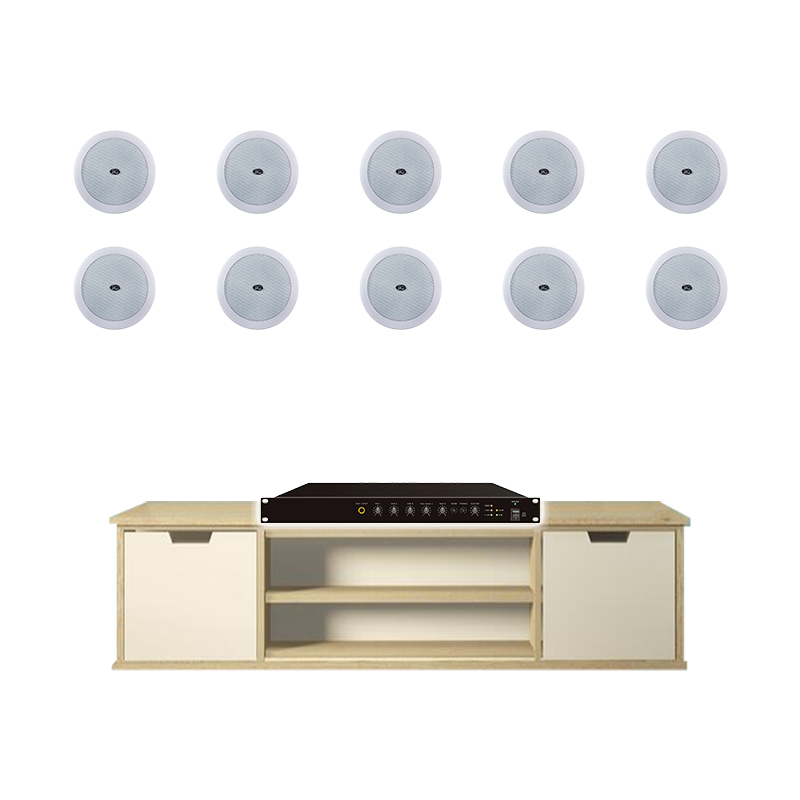Hệ thống âm thanh quán Cafe CFH02 (T-205CW, T-240D)