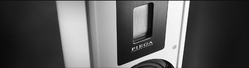 tweeter ribbon ldr 3056 cao cap