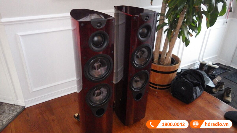 ứng dụng thực tế