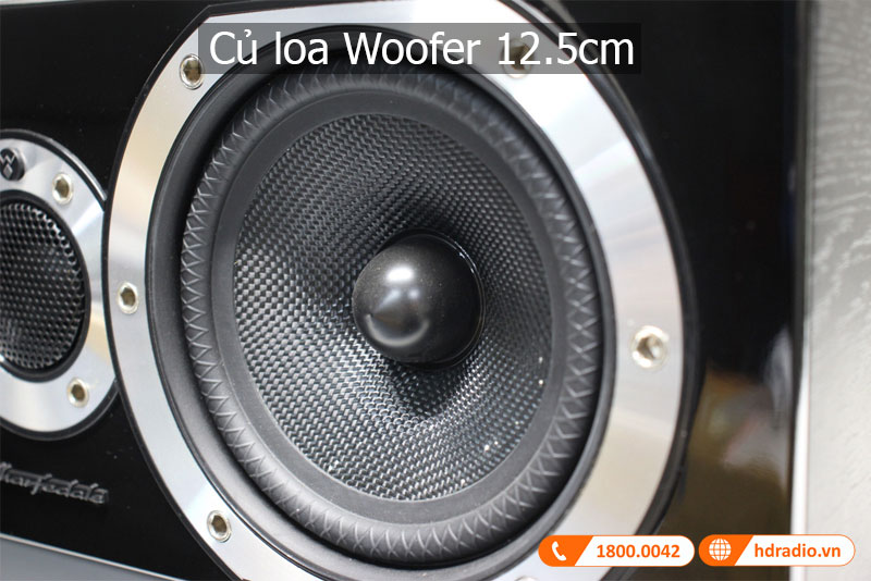 Am thanh loa Diamond 10.CS